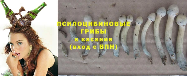 сатива Богородск