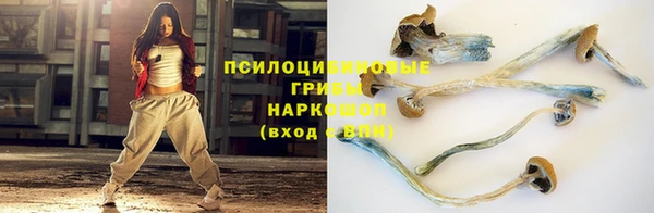 сатива Богородск