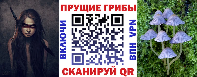 Псилоцибиновые грибы мицелий  цены наркотик  Великие Луки 